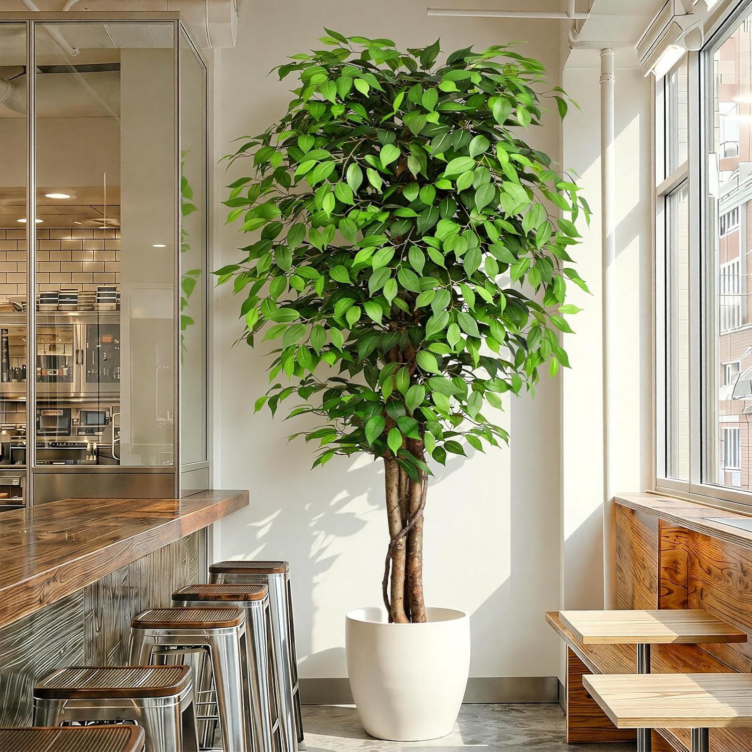 Dracaena Marginata - Realistyczny sztuczny drzewko figowe z naturalnym