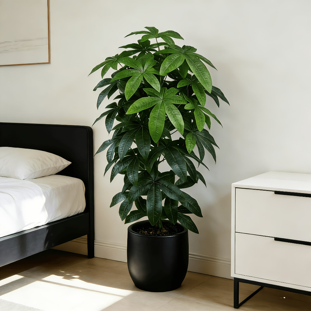 Monstera Adansonii - Sztuczna drzewka szczęścia Pachira Aquatica z
