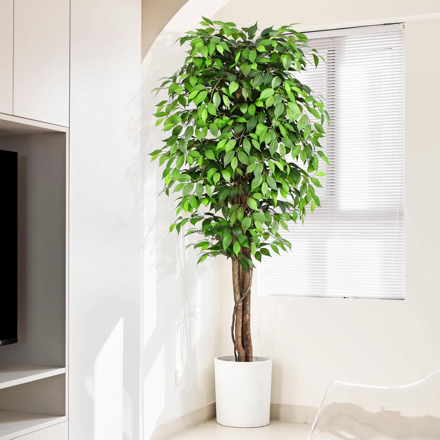 Realistyczny sztuczny drzewko  – Dracaena Marginata recenzja i cena