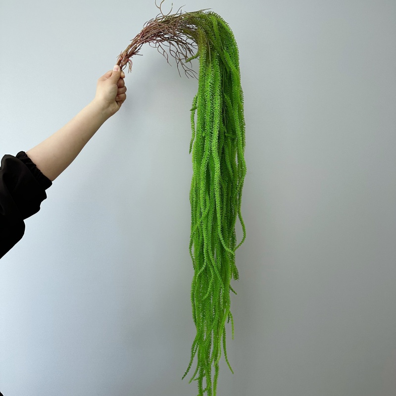 Sztuczna broda z wierzby wszec – Monstera Adansonii recenzja i cena