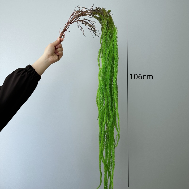 Sztuczna broda z wierzby wszec – Monstera Adansonii recenzja i cena