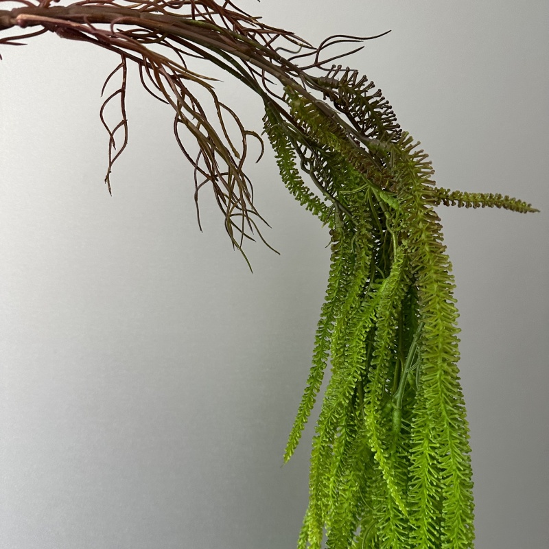 Sztuczna broda z wierzby wszec – Monstera Adansonii recenzja i cena
