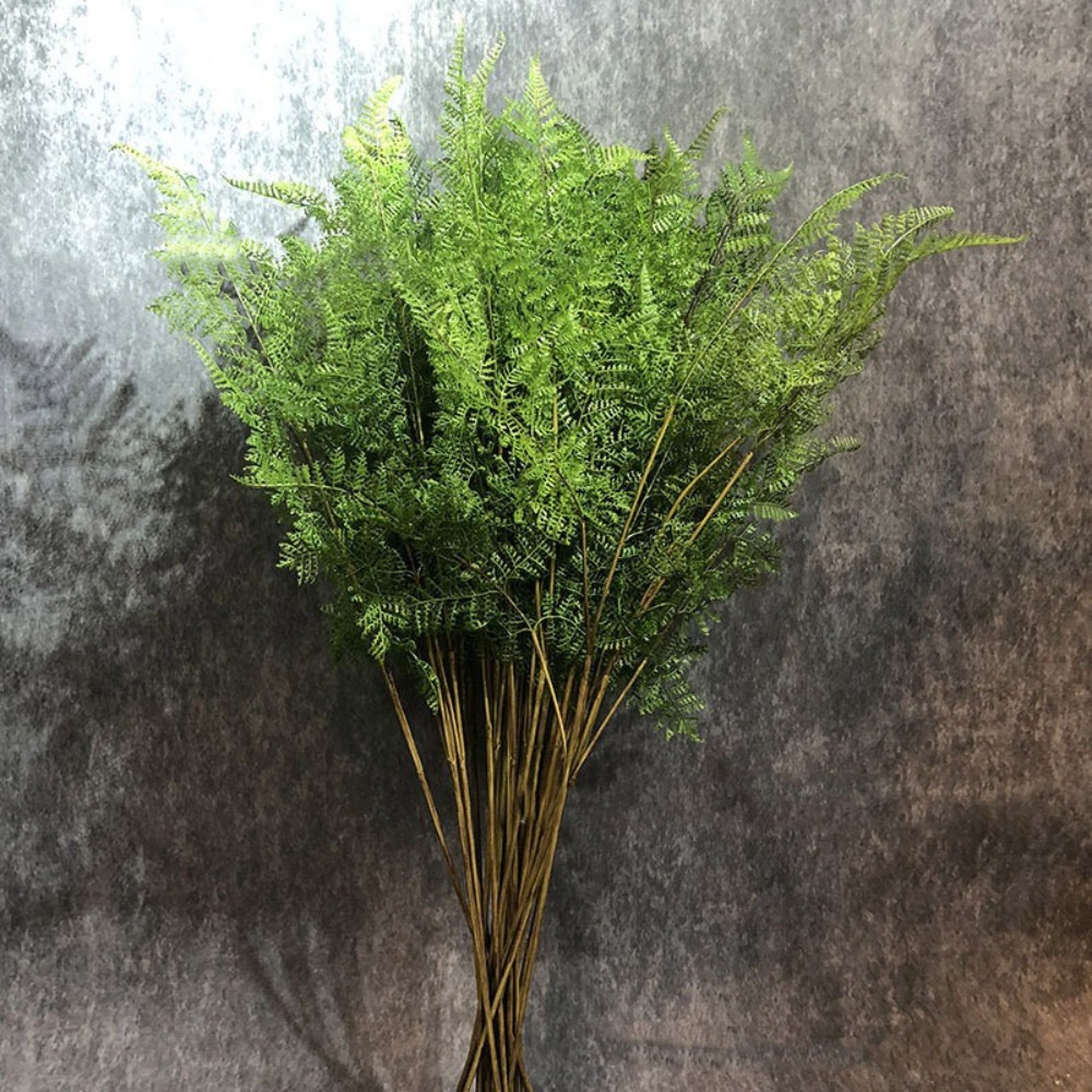 Realistyczne sztuczne gałązki  – Dracaena Marginata recenzja i cena