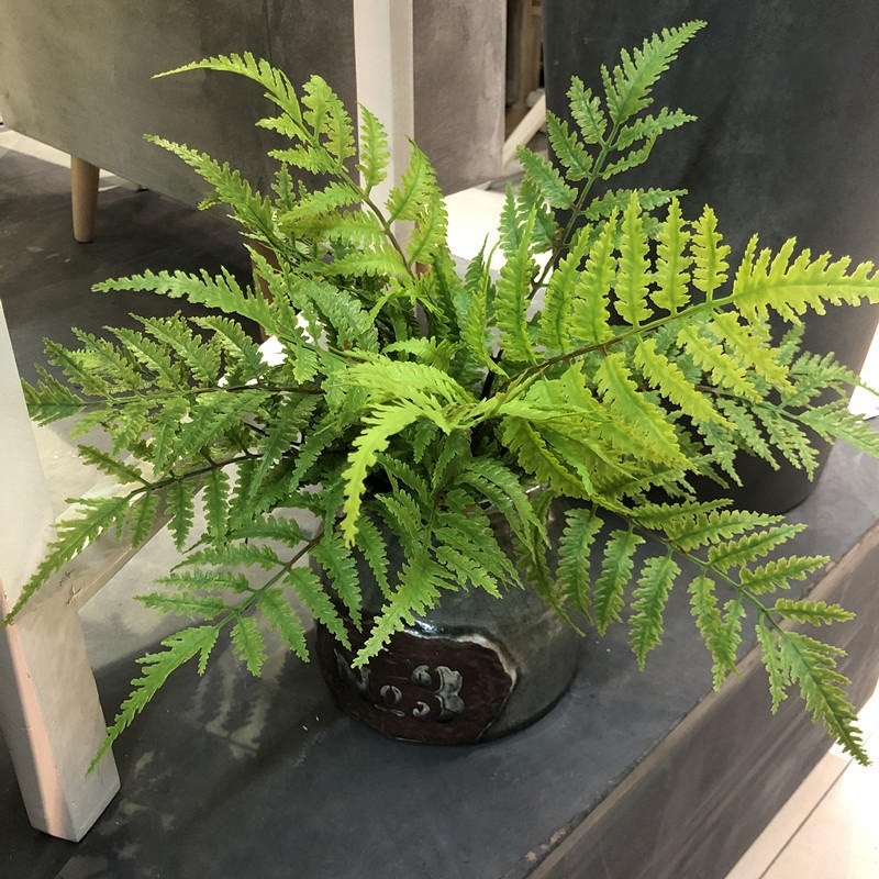 1 szt. Sztuczne rośliny dekora – Dracaena Marginata recenzja i cena