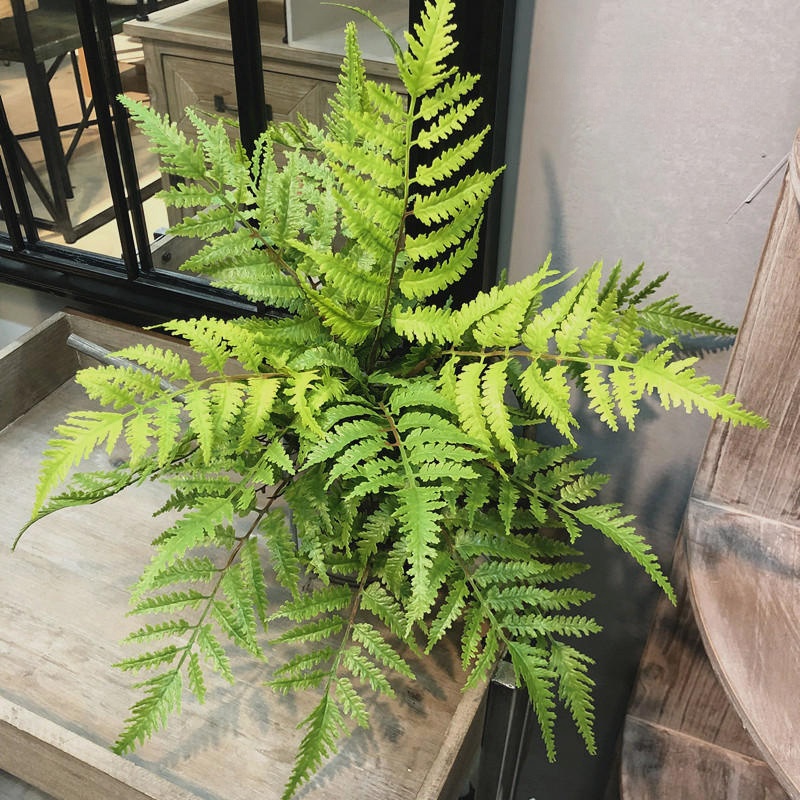 1 szt. Sztuczne rośliny dekora – Dracaena Marginata recenzja i cena