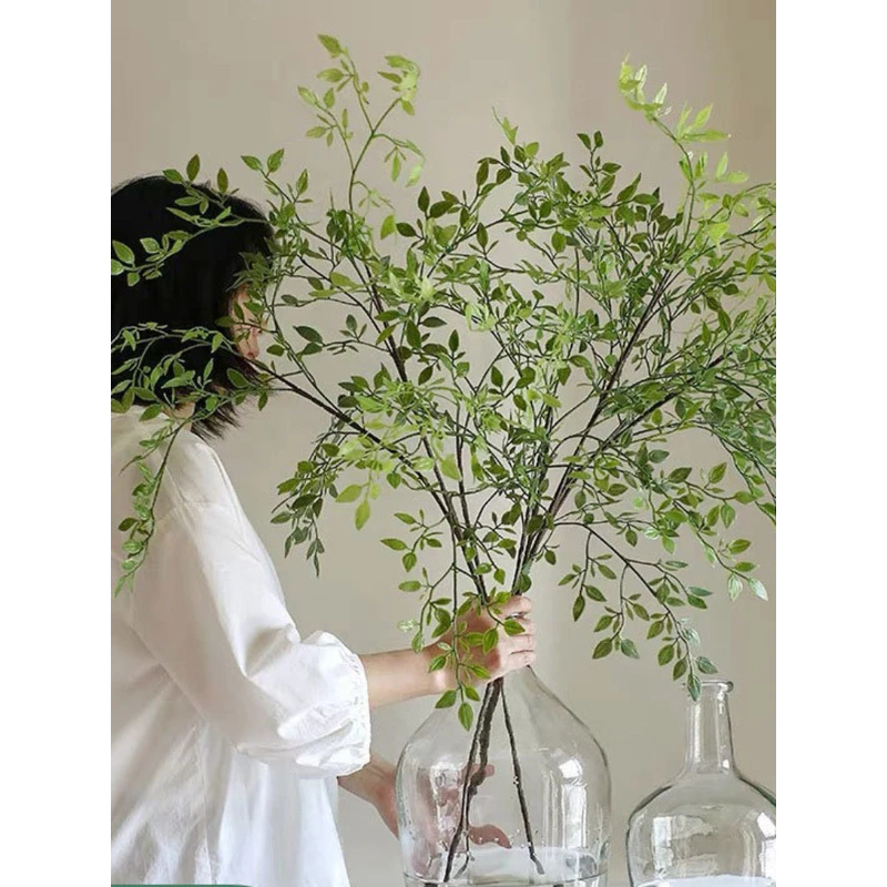 Sztuczna pojedyncza gałązka 3  – Dracaena Marginata recenzja i cena