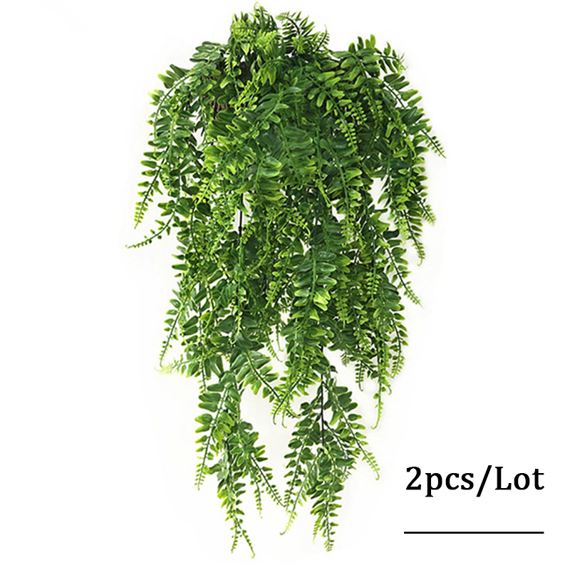 90cm perska paproć liście wino – Monstera Adansonii recenzja i cena
